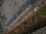 image of grave number 572574